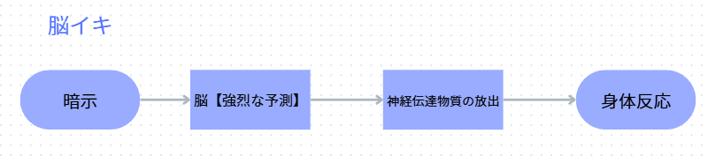脳イキ:暗示から脳の予測・神経伝達物質の放出を経て身体反応へ至るトップダウンのイメージ
